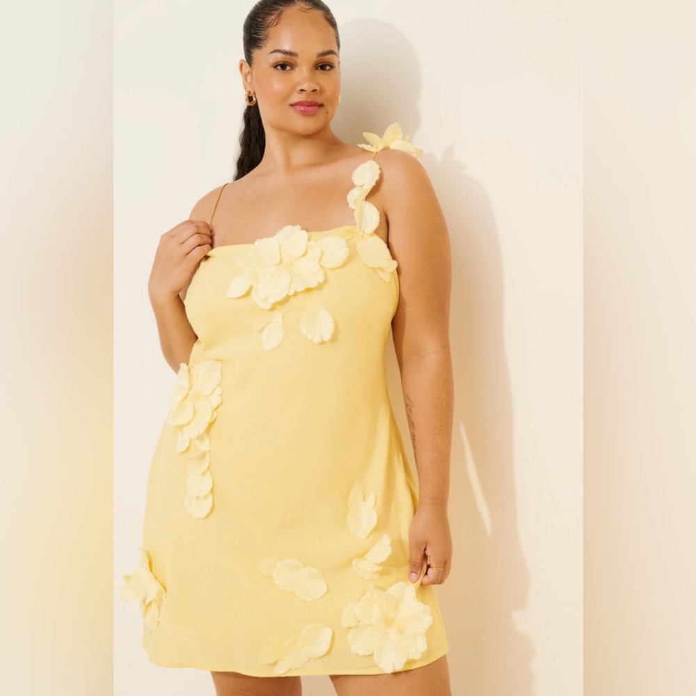 Hutch Anthropologie 3D Floral Appliqué Linen Blend Dress Plus size 1X